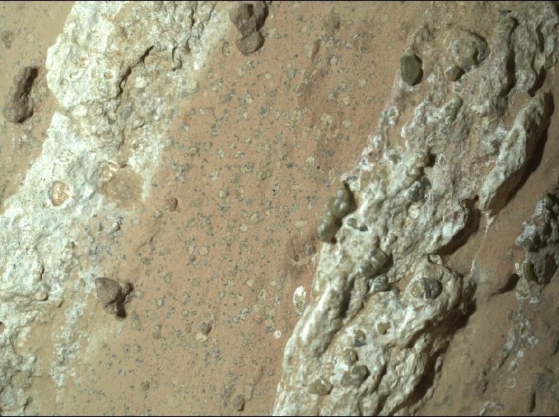 NASA毅力号发现潜在生物特征样本，但火星样本返回计划已取消NASA“毅力号”采集的火星岩石样本出现被称为“潜在生物特征”的结构，但仅凭车载仪器无法确认是否存在生命