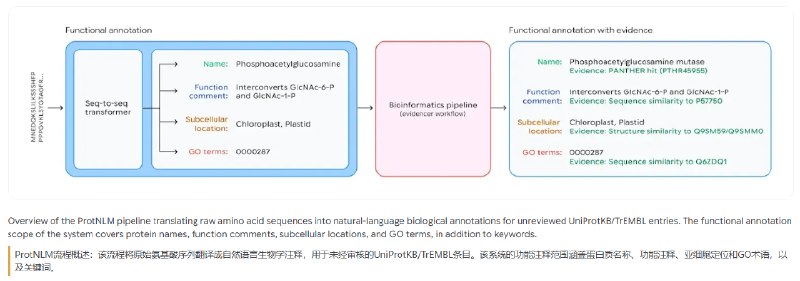 对抗超级细菌新武器：谷歌 Antigravity 用 AI 加速抗菌肽发现谷歌推出的 Google Antigravity 智能开发平台整合数据库检索、蛋白质结构分析和文献综合等功能，借助 ProtNLM 模型预测未表征蛋白质的生物功能